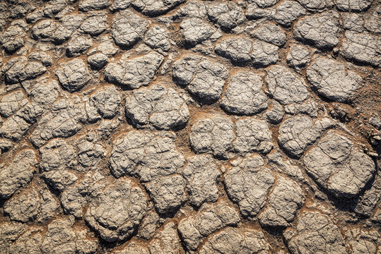 Drought, Sossusvlei, Namib Desert, Namib-Naukluft National Park; Namibia