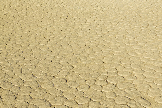 Deadvlei, a white clay pan surrounded by the highest sand dunes in the world, Namib Desert; Namibia