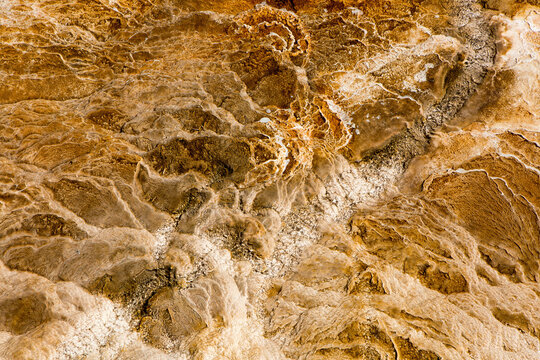 Water flows over mineral deposits at Mammoth Hot Springs, a geothermal area in Yellowstone National Park.; Yellowstone National Park, Wyoming, United States of America