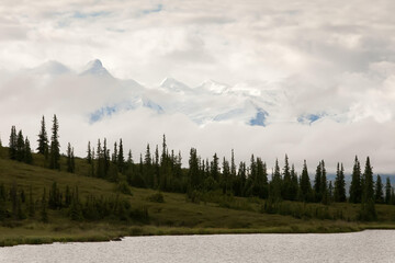 A river runs by lush trees with snowy mountains and clouds in the background.; Denali National Park and Preserve, Alaska