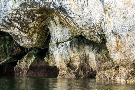 Crusty limestone rock formations created by ancient erosion along the shore of Admiralty Island; Southeast Alaska, Alaska, United States of America