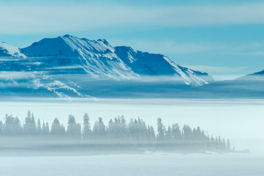 Tees in the fog at Stevenson Island and Mount Chittenden in the background, YNP, Wyoming, USA