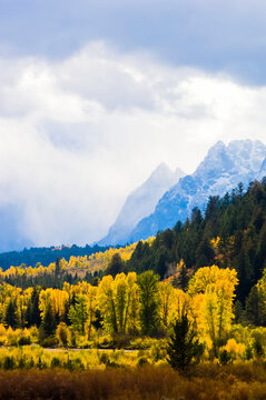 Fall Colors at Pacific Creek in YNP and the Grand Tetons in Grand Teton National Park, Wyoming, USA