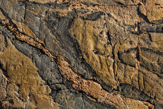 Detail of rock textures in metamorphic rock.