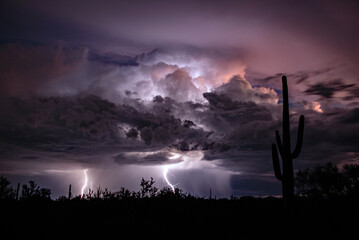 Lightning storm and a saguaro cactus