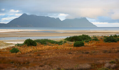 Fototapeta premium View at Whangarei Heads and Mount Lion, New Zealand