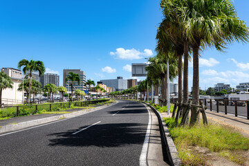 沖縄那覇港付近のヤシの木並木