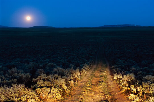 Headlight beams shine on a dirt road in sagebrush country; Pinedale, Wyoming, United States of America