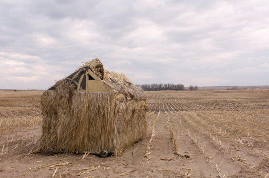 A bird blind stands alone in a farm field with stubble near Burwell, Nebraska, USA; Burwell, Nebraska, United States of America
