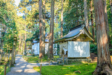 Obraz premium 秋の平泉寺白山神社 福井県勝山市 Heisenji Hakusan Shrine in autumn. Fukui Prefecture, Katsuyama City. 