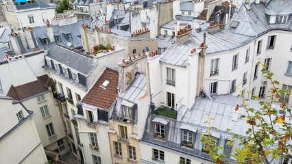 Fototapeta premium France roof tops overview of crowded neighborhood
