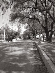 Obraz premium Manuel