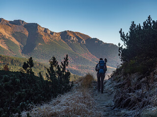 Fototapeta premium Female hiker walking a path in the mountains