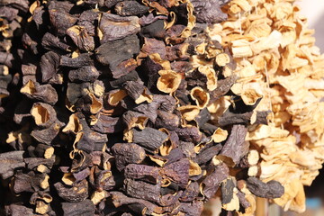 dried mushrooms on the ground