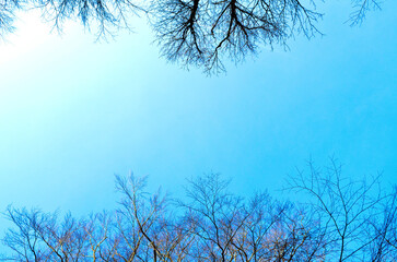 cloudless sunny road