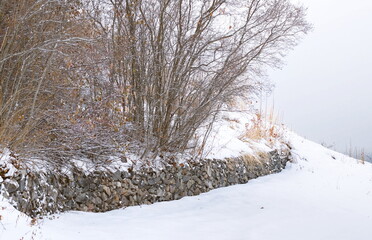 A rural, snow covered, stone wall with trees growing behind it, and a fog cloaked valley in the distance.