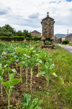 Beautiful village of Fisterra in Spain, unique for its horreos, traditional granary barns