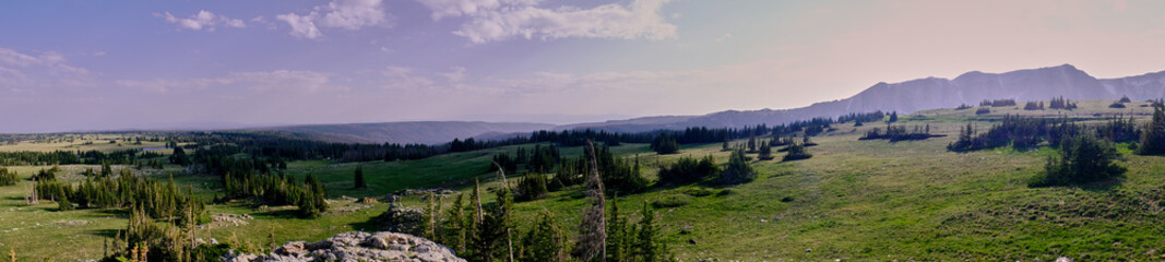 Obraz premium Unknown Landscape 1