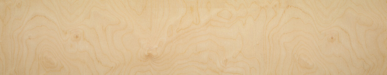 Wide plank texture background. High key textured background. Wood texture background.