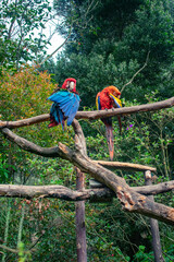 Amazing Biopark tour at Cota Cundinamarca