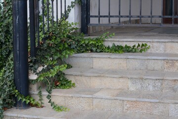 Fototapeta na wymiar View of stone outdoor stairs. Entrance design