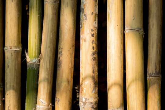 old and vintage close up bamboo texture