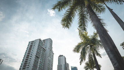 Fototapeta premium Ciudad de panamá