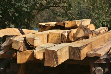 Tree stumps cut in heaps with greenery in the background .stack of logs for lumber industry background.