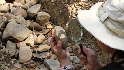 Female geologist using a magnifying glass examines nature, analyzing rocks or pebbles. Researchers collect samples of biological materials. Environmental and ecology research.