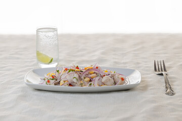 Ceviche, typical fish-based dish of Peruvian cuisine, presented in a rectangular plate with copy space.
