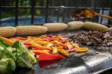 Freshly grilled barbecue, colorful vegetables on grill, delicious taste