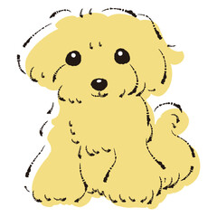 Fototapeta premium シンプルでかわいいトイプードル 手描き線画ベクターイラスト