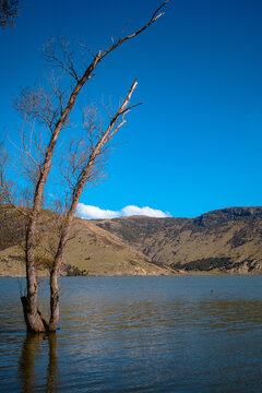 Lake Wairewa, Banks Peninsula, on a spring afternoon