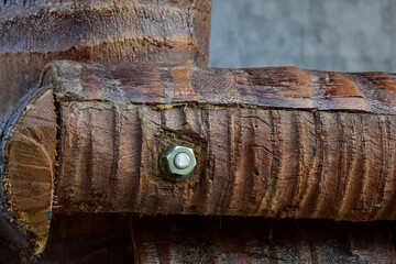 coconut tree furniture natural for the background