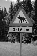 Moose warning sign. Road leading through the Scandinavian forest. Ostfold Region.Norway