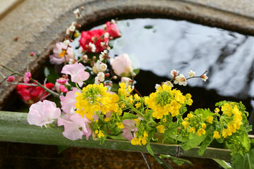 手水舎の花飾り