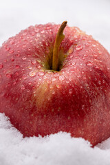 wet red apple