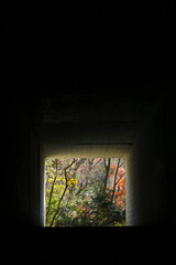 Inside the dark tunnel, you can see a forest with bright autumn leaves at the exit ahead.