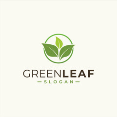Fototapeta premium green leaf icons design template vector