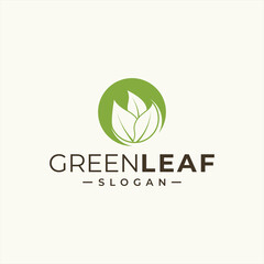 green leaf icons design template vector