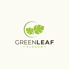 green leaf icons design template vector
