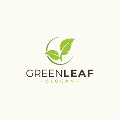 green leaf icons design template vector