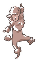 踊るプードル