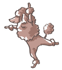 踊るプードル