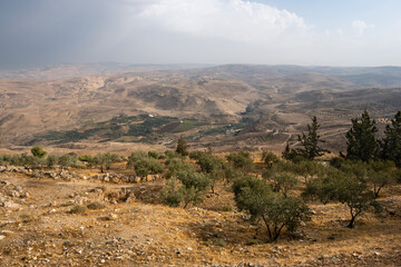 Mount Nebo Landscape with Khirbet al-Mukhayyat Village in Jordan with Olive Trees