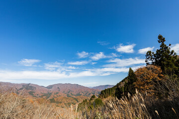landscape with blue sky