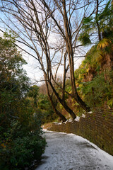 A path in the mountains on the subtropical coast of the Black Sea in winter