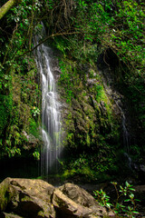 Fototapeta premium Newtons Waterfall, just outside Akaroa, Bank's Peninsula