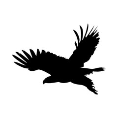 Silhouette of eagle