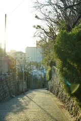 道
